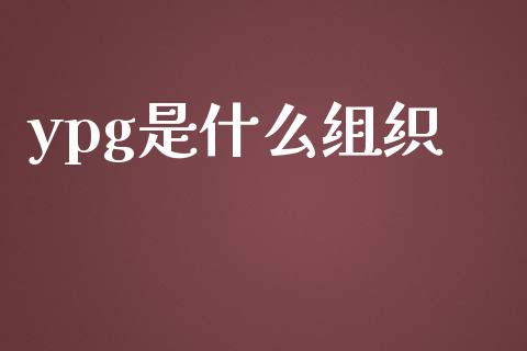 ypg是什么组织_https://cj001.lansai.wang_财经问答_第1张