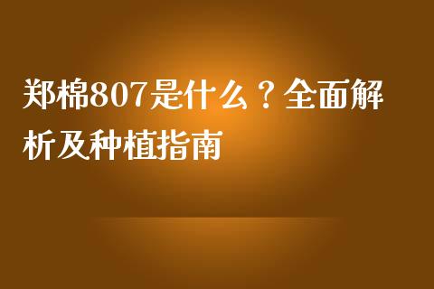 郑棉807是什么？全面解析及种植指南_https://cj001.lansai.wang_财经问答_第1张