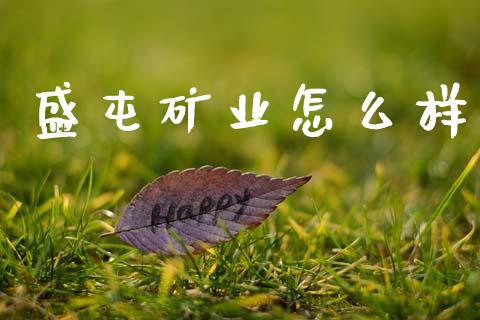 盛屯矿业怎么样_https://cj001.lansai.wang_财经百问_第1张