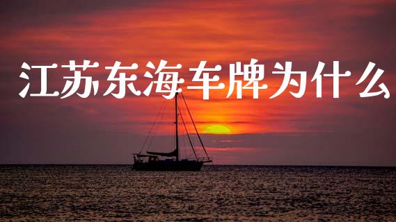 江苏东海车牌为什么_https://cj001.lansai.wang_理财问答_第1张