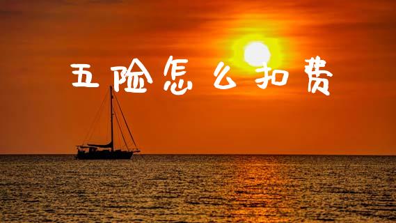 五险怎么扣费_https://cj001.lansai.wang_保险问答_第1张