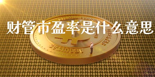 财管市盈率是什么意思_https://cj001.lansai.wang_会计问答_第1张