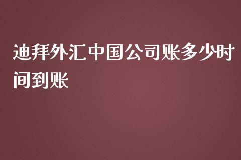 迪拜外汇中国公司账多少时间到账_https://cj001.lansai.wang_财经问答_第1张