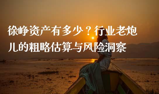 徐峥资产有多少？行业老炮儿的粗略估算与风险洞察_https://cj001.lansai.wang_会计问答_第1张