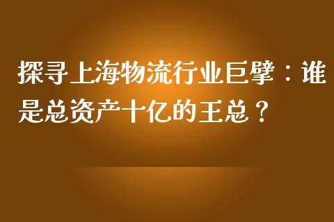 探寻上海物流行业巨擘：谁是总资产十亿的王总？_https://cj001.lansai.wang_期货问答_第1张
