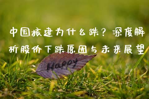 中国核建为什么跌？深度解析股价下跌原因与未来展望_https://cj001.lansai.wang_财经百问_第1张