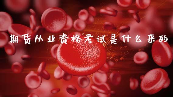 期货从业资格考试是什么来的_https://cj001.lansai.wang_金融问答_第1张