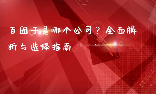 百因子是哪个公司？全面解析与选择指南_https://cj001.lansai.wang_金融问答_第1张