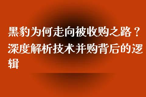 黑豹为何走向被收购之路？深度解析技术并购背后的逻辑_https://cj001.lansai.wang_期货问答_第1张