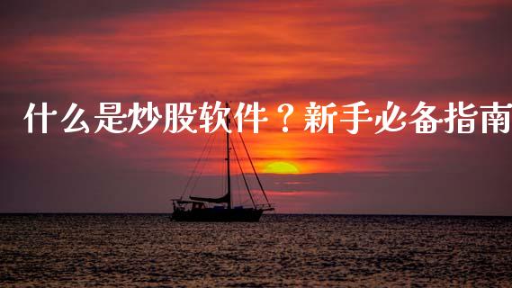 什么是炒股软件？新手必备指南_https://cj001.lansai.wang_财经问答_第1张