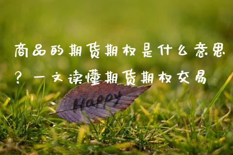 商品的期货期权是什么意思？一文读懂期货期权交易_https://cj001.lansai.wang_期货问答_第1张