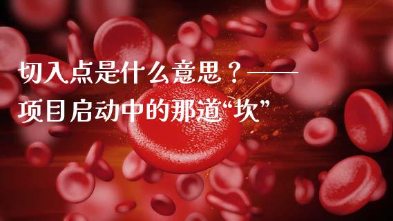 切入点是什么意思？—— 项目启动中的那道“坎”_https://cj001.lansai.wang_财经百问_第1张