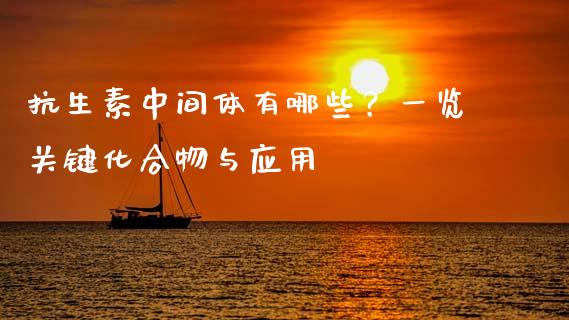 抗生素中间体有哪些？一览关键化合物与应用_https://cj001.lansai.wang_理财问答_第1张