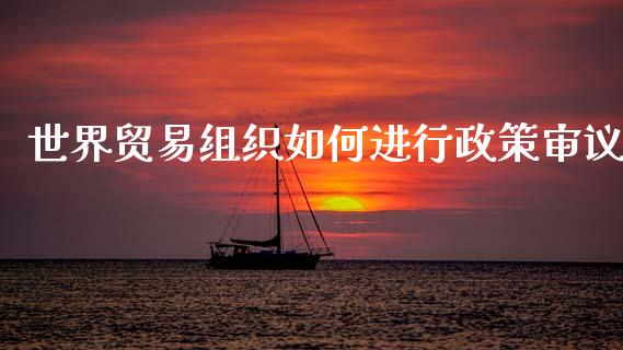 世界贸易组织如何进行政策审议_https://cj001.lansai.wang_财经问答_第1张