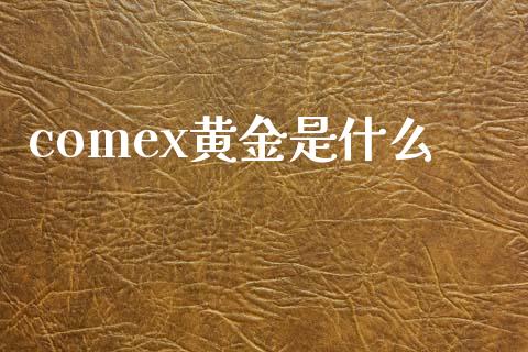 comex黄金是什么_https://cj001.lansai.wang_财经百问_第1张