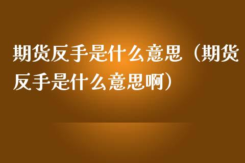 期货反手是什么意思（期货反手是什么意思啊）_https://cj001.lansai.wang_金融问答_第1张