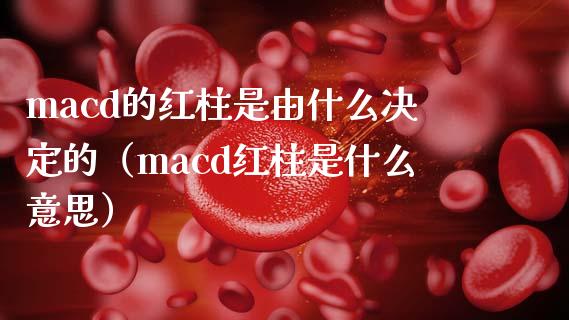macd的红柱是由什么决定的（macd红柱是什么意思）_https://cj001.lansai.wang_财经问答_第1张