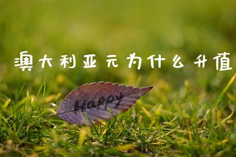 澳大利亚元为什么升值_https://cj001.lansai.wang_财经问答_第1张