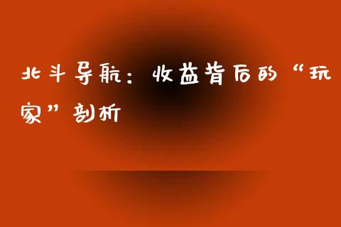 北斗导航：收益背后的“玩家”剖析_https://cj001.lansai.wang_财经百问_第1张