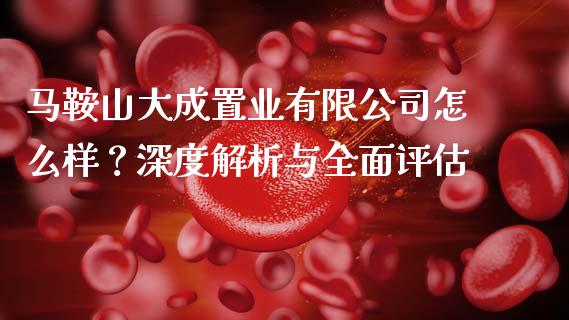 马鞍山大成置业有限公司怎么样？深度解析与全面评估_https://cj001.lansai.wang_会计问答_第1张