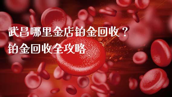 武昌哪里金店铂金回收？ 铂金回收全攻略_https://cj001.lansai.wang_会计问答_第1张