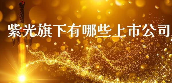 紫光旗下有哪些上市公司_https://cj001.lansai.wang_理财问答_第1张