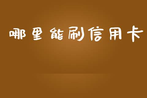 哪里能刷信用卡_https://cj001.lansai.wang_金融问答_第1张