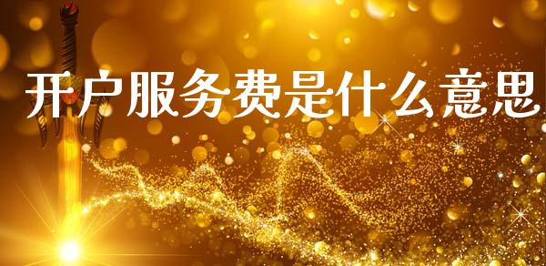 开户服务费是什么意思_https://cj001.lansai.wang_理财问答_第1张