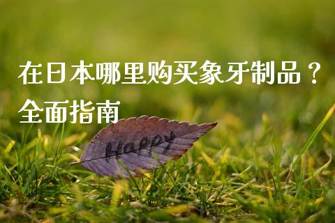 在日本哪里购买象牙制品？全面指南_https://cj001.lansai.wang_会计问答_第1张