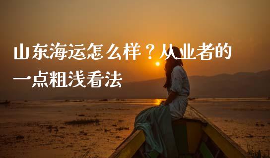 山东海运怎么样？从业者的一点粗浅看法_https://cj001.lansai.wang_理财问答_第1张