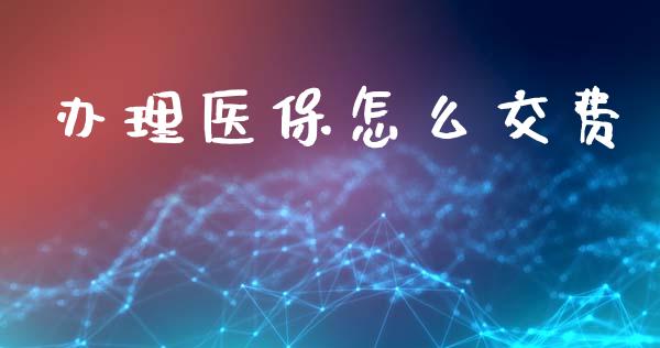 办理医保怎么交费_https://cj001.lansai.wang_保险问答_第1张