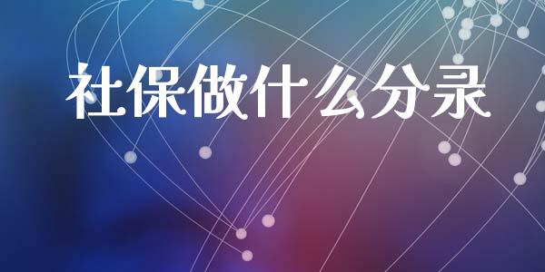 社保做什么分录_https://cj001.lansai.wang_会计问答_第1张