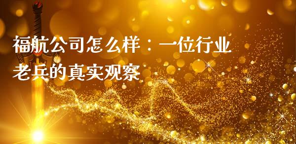福航公司怎么样：一位行业老兵的真实观察_https://cj001.lansai.wang_会计问答_第1张