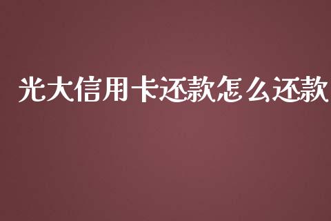 光大信用卡还款怎么还款_https://cj001.lansai.wang_金融问答_第1张