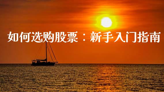 如何选购股票：新手入门指南_https://cj001.lansai.wang_期货问答_第1张