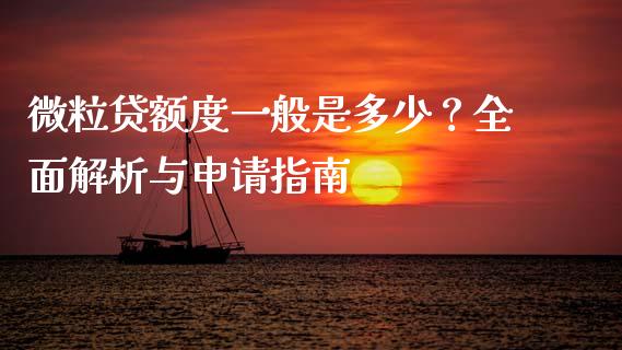 微粒贷额度一般是多少？全面解析与申请指南_https://cj001.lansai.wang_会计问答_第1张