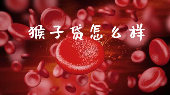 猴子贷怎么样_https://cj001.lansai.wang_理财问答_第1张