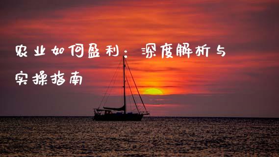农业如何盈利：深度解析与实操指南_https://cj001.lansai.wang_理财问答_第1张