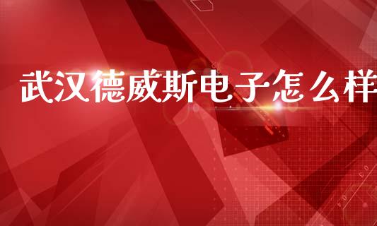 武汉德威斯电子怎么样_https://cj001.lansai.wang_财经百问_第1张