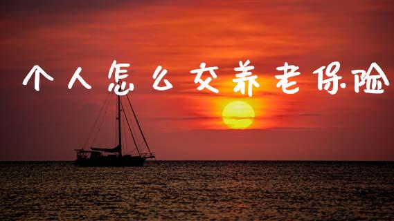 个人怎么交养老保险_https://cj001.lansai.wang_保险问答_第1张