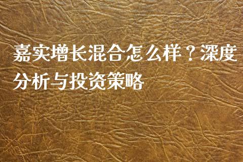 嘉实增长混合怎么样？深度分析与投资策略_https://cj001.lansai.wang_期货问答_第1张