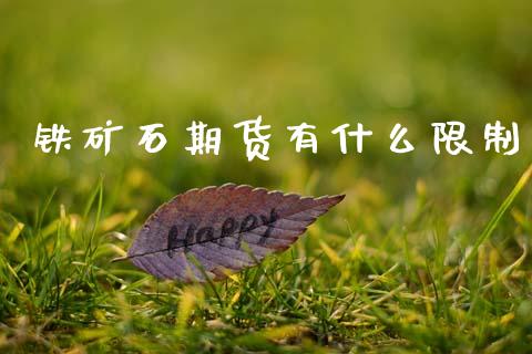 铁矿石期货有什么限制_https://cj001.lansai.wang_期货问答_第1张
