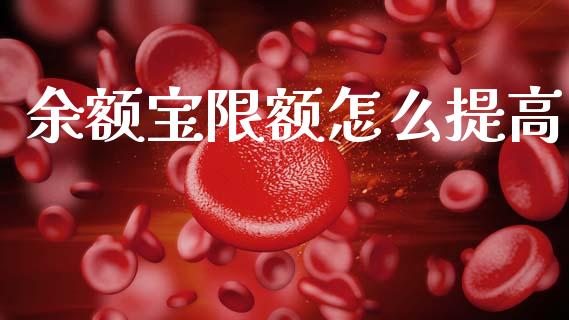 余额宝限额怎么提高_https://cj001.lansai.wang_财经百问_第1张