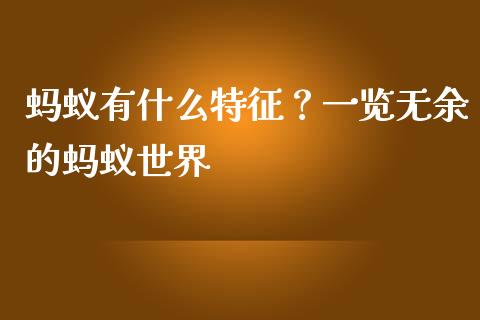 蚂蚁有什么特征？一览无余的蚂蚁世界_https://cj001.lansai.wang_会计问答_第1张