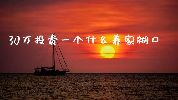 30万投资一个什么养家糊口_https://cj001.lansai.wang_金融问答_第1张
