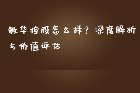 敏华控股怎么样？深度解析与价值评估_https://cj001.lansai.wang_股市问答_第1张