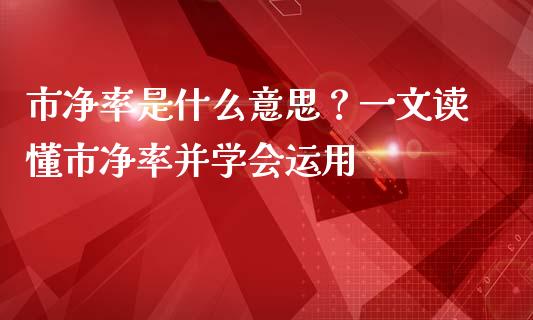 市净率是什么意思？一文读懂市净率并学会运用_https://cj001.lansai.wang_期货问答_第1张