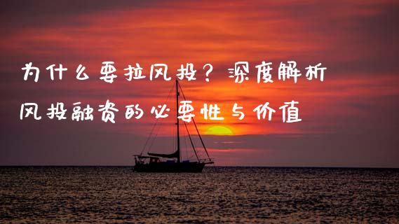 为什么要拉风投？深度解析风投融资的必要性与价值_https://cj001.lansai.wang_期货问答_第1张