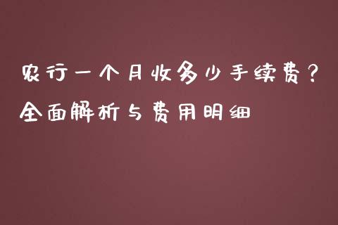 农行一个月收多少手续费？全面解析与费用明细_https://cj001.lansai.wang_期货问答_第1张