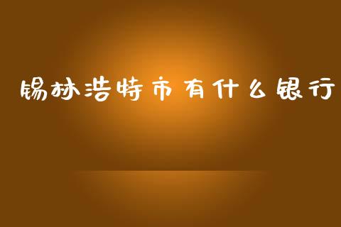 锡林浩特市有什么银行_https://cj001.lansai.wang_金融问答_第1张